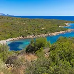 In Sardinia Near Villa Porto Ottiolu